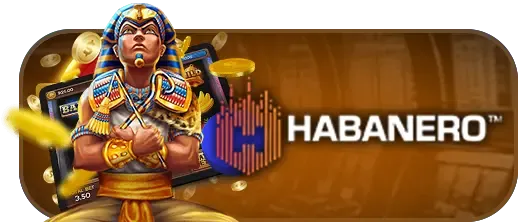 ทางเข้าwing1688 12